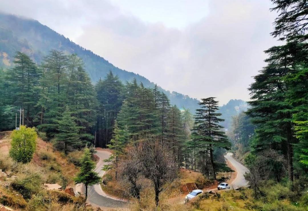 The Lake Cottage By Vrb Hotels Mcleodganj Дармсала Экстерьер фото